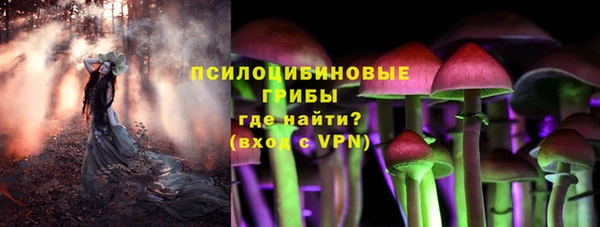 прущий лед Богородицк