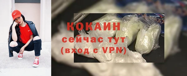 прущий лед Богородицк