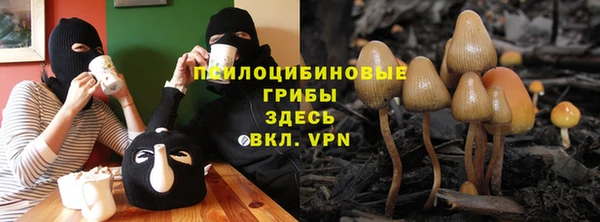 прущий лед Богородицк