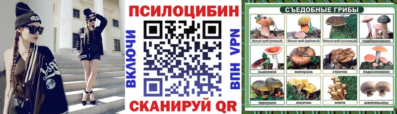 Купить  Тверь  Галлюциногенные грибы Psilocybine cubensis 